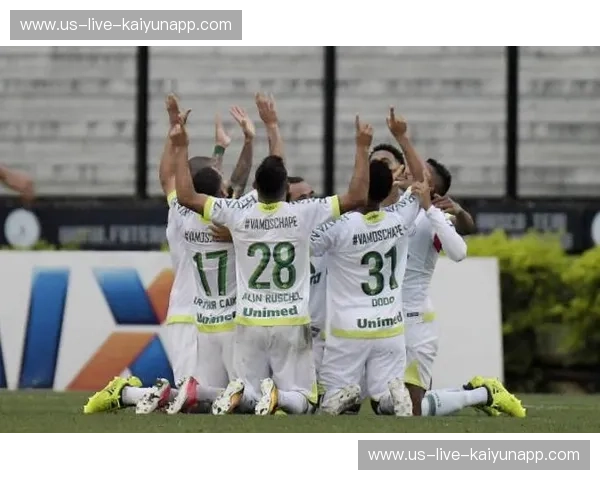 绿茵场上的悲歌与新生：沙佩科的凤凰涅槃，防卫者的铁血荣光